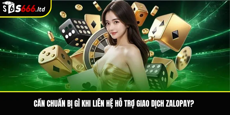 Nạp Tiền S666 Qua ZaloPay – Cách Kiểm Tra Giao Dịch Và Lỗi Thường Gặp 3 Cần chuẩn bị gì khi liên hệ hỗ trợ giao dịch ZaloPay?